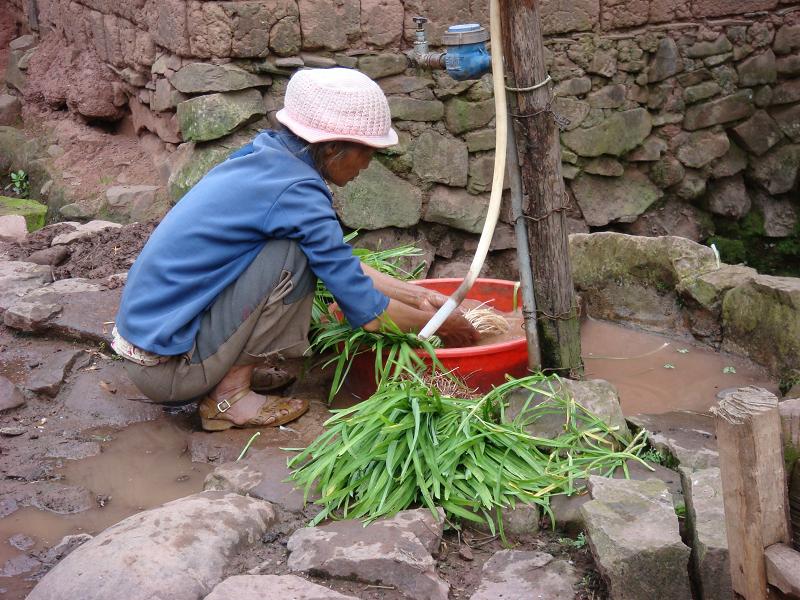 梅子樹自然村