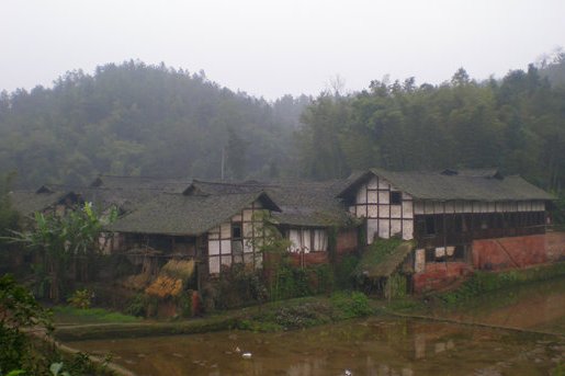 水鴨池村