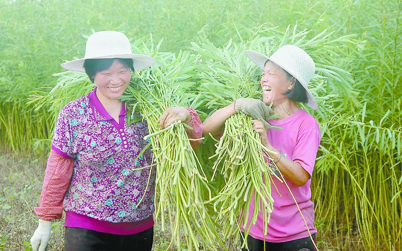 中國杞柳之鄉