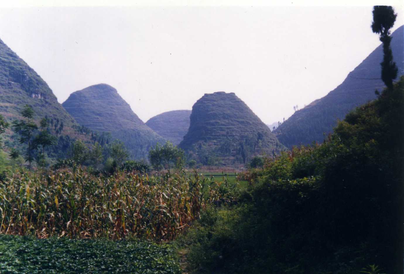 屯山遠眺