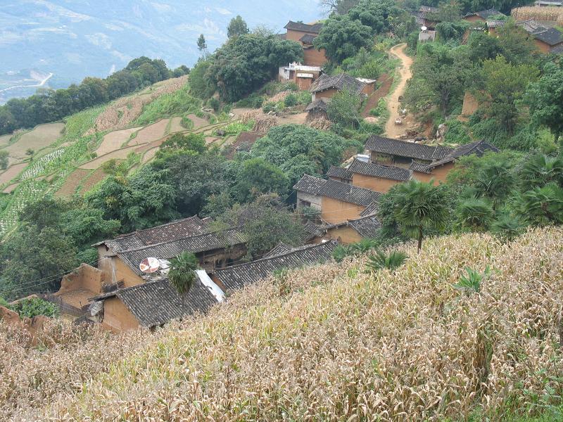 岩下村村貌