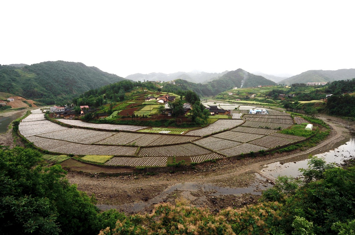 大河鎮