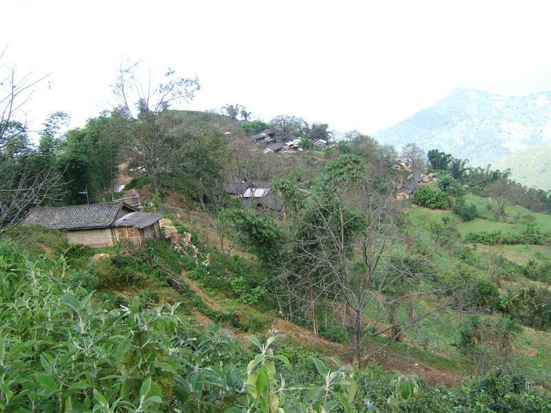 團山自然村(雲南臨滄永德縣永康鎮中山村委會團山自然村)