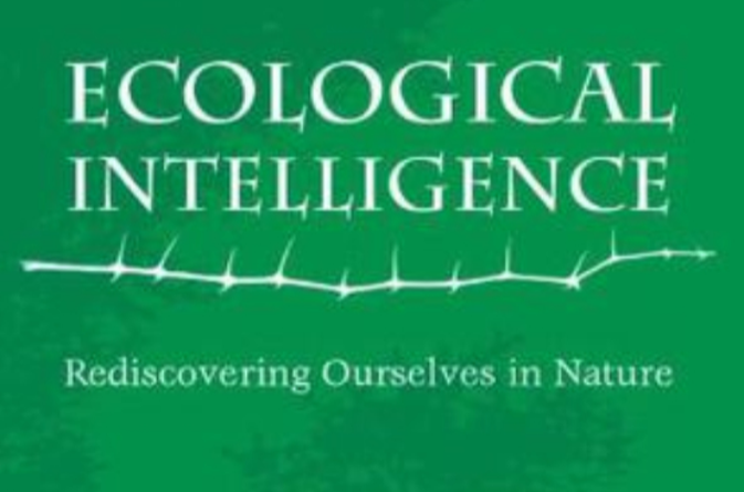 Ecological Intelligence