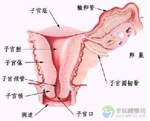 生殖器滴蟲病