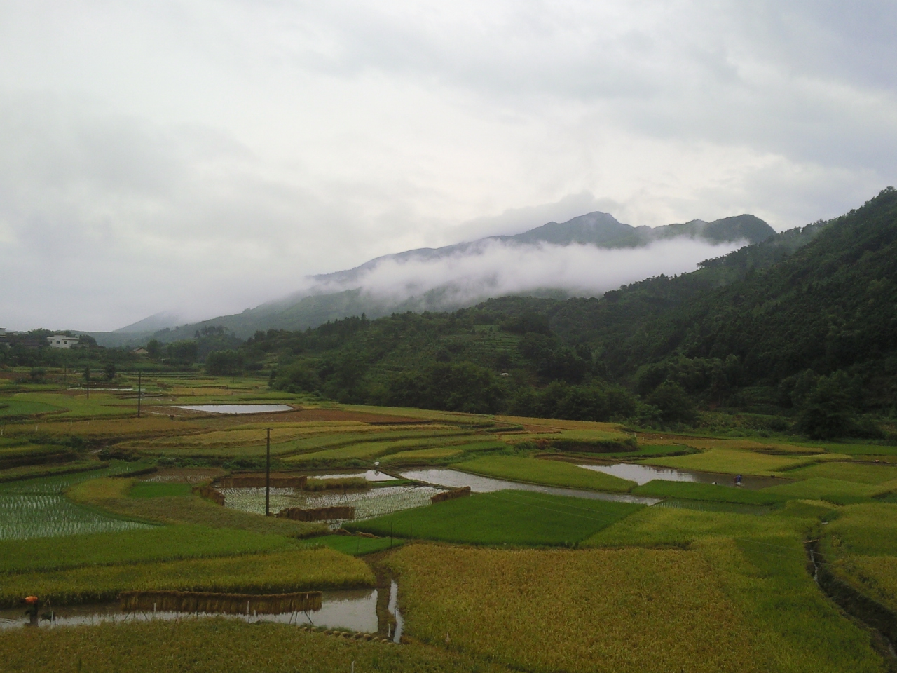 對門嶺