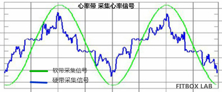 心率帶採集心率信號