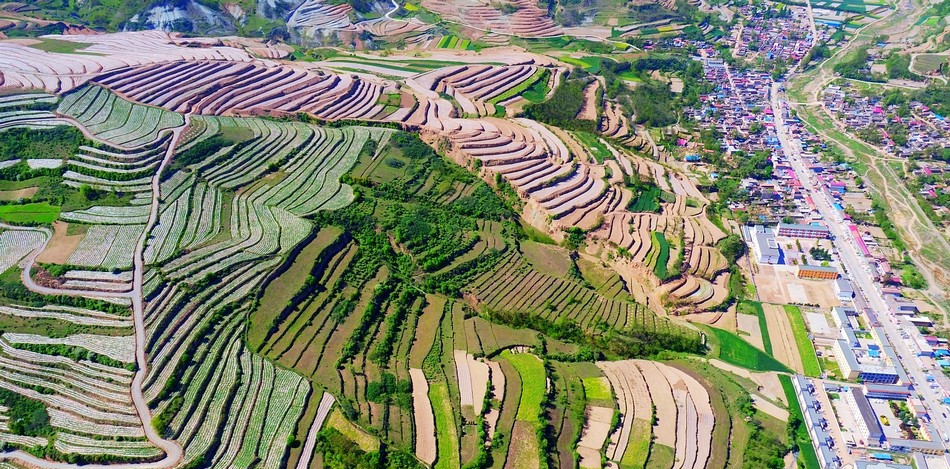 華岐鎮