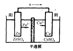 異金屬電池模型