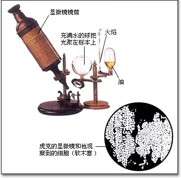 顯微鏡(科研儀器設備)