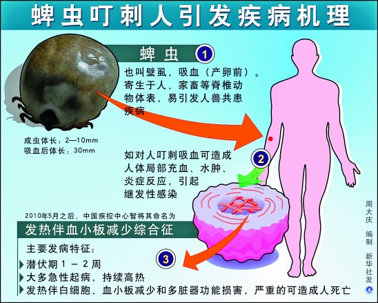 人粒細胞無形體病