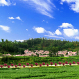 平村村(雲南省鳳慶縣鳳山鎮平村村)