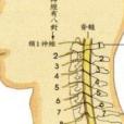 上頸髓區病變