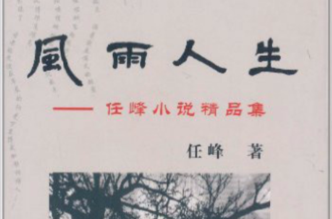 風雨人生：任峰小說精品集