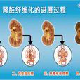 腎臟纖維化