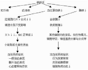 缺鐵性貧血