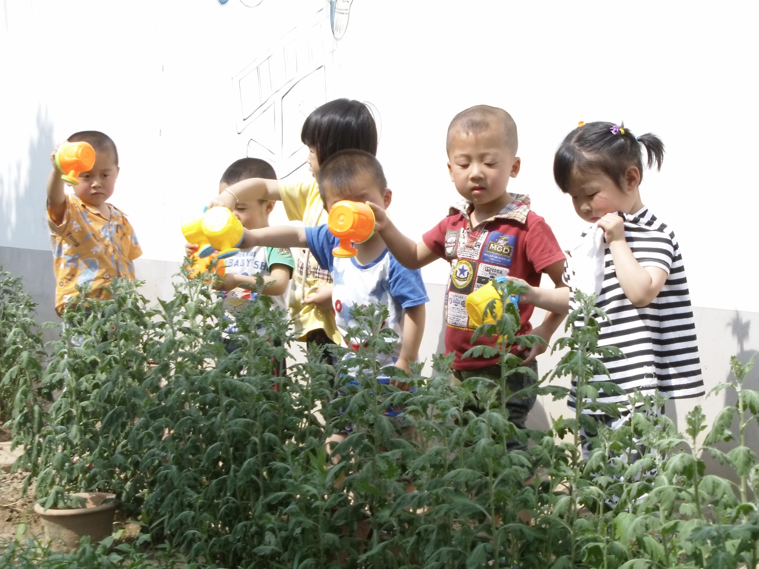 馬額中心幼稚園