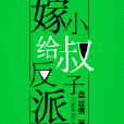 嫁給反派小叔子（穿書）