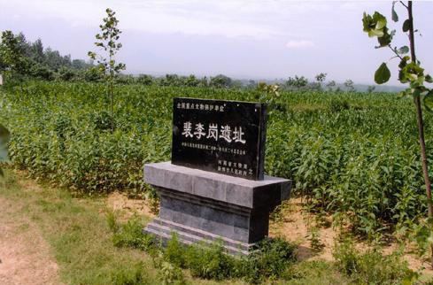 裴李崗文化遺址