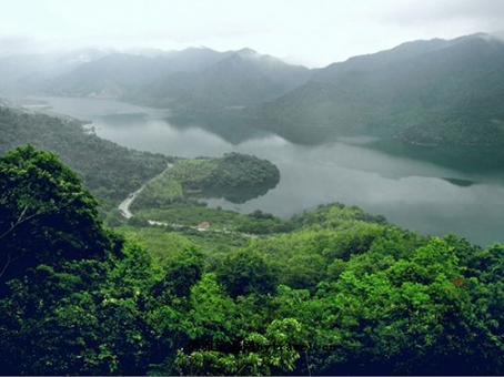 浙江奉化金峨山森林公園