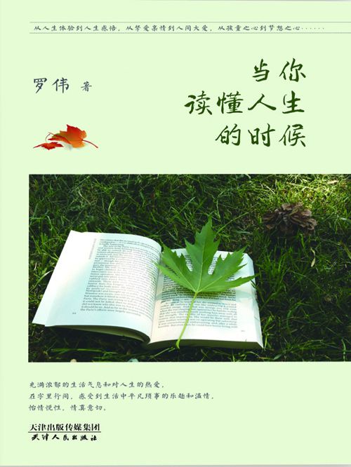 當你讀懂人生的時候(羅偉創作的網路小說)