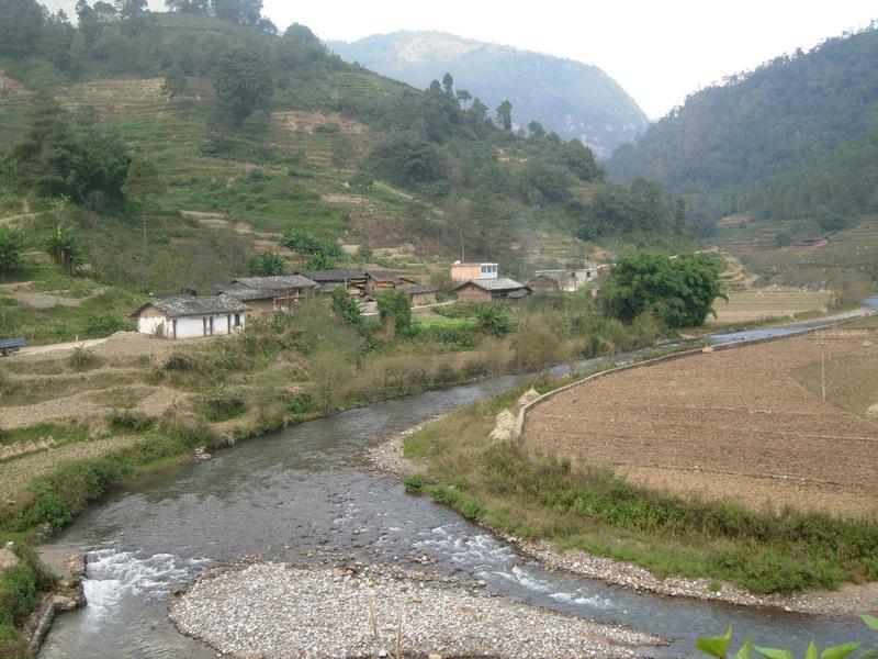 李子河村(雲南省富源縣後所鎮李子河村)