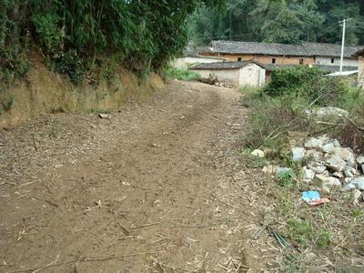 金塘子自然村-交通道路