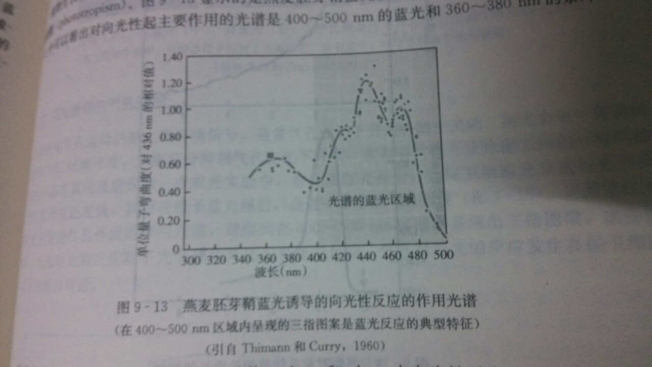 三指圖案