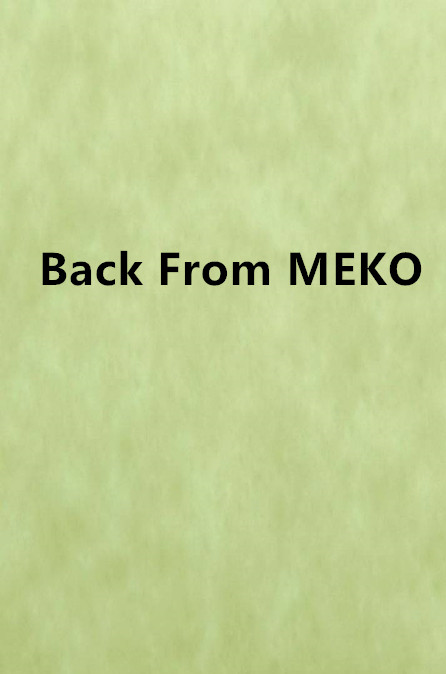 Back From MEKO