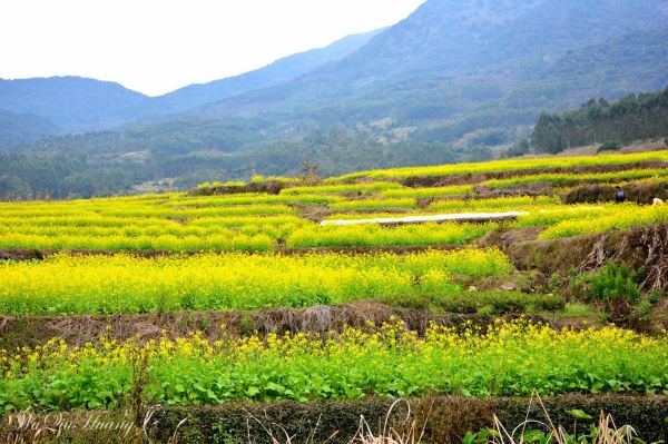 花古山