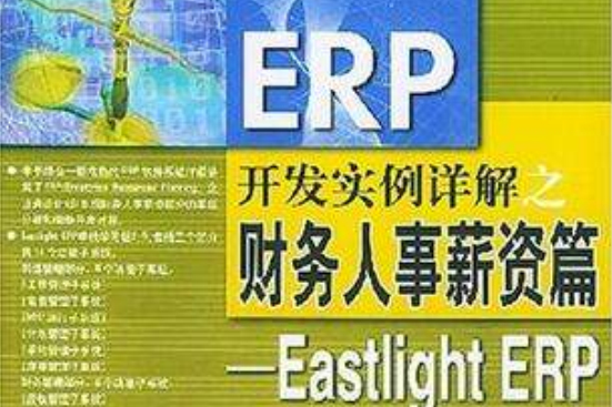 ERP開發實例詳解之財務人事薪資篇