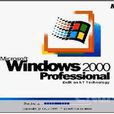 作業系統——windows 2000篇