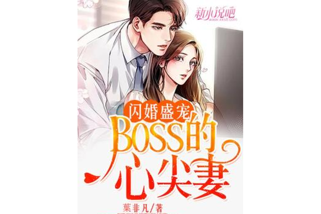 閃婚盛寵：BOSS的心尖妻