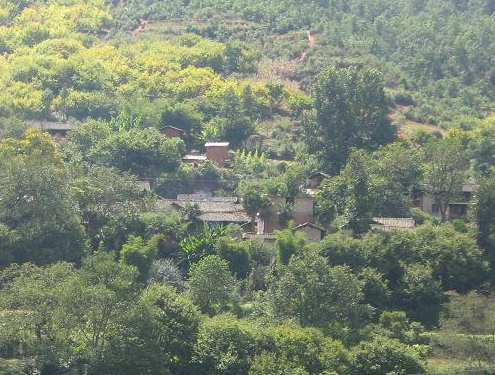 發烏村(雲南祿勸縣九龍鎮下轄村)