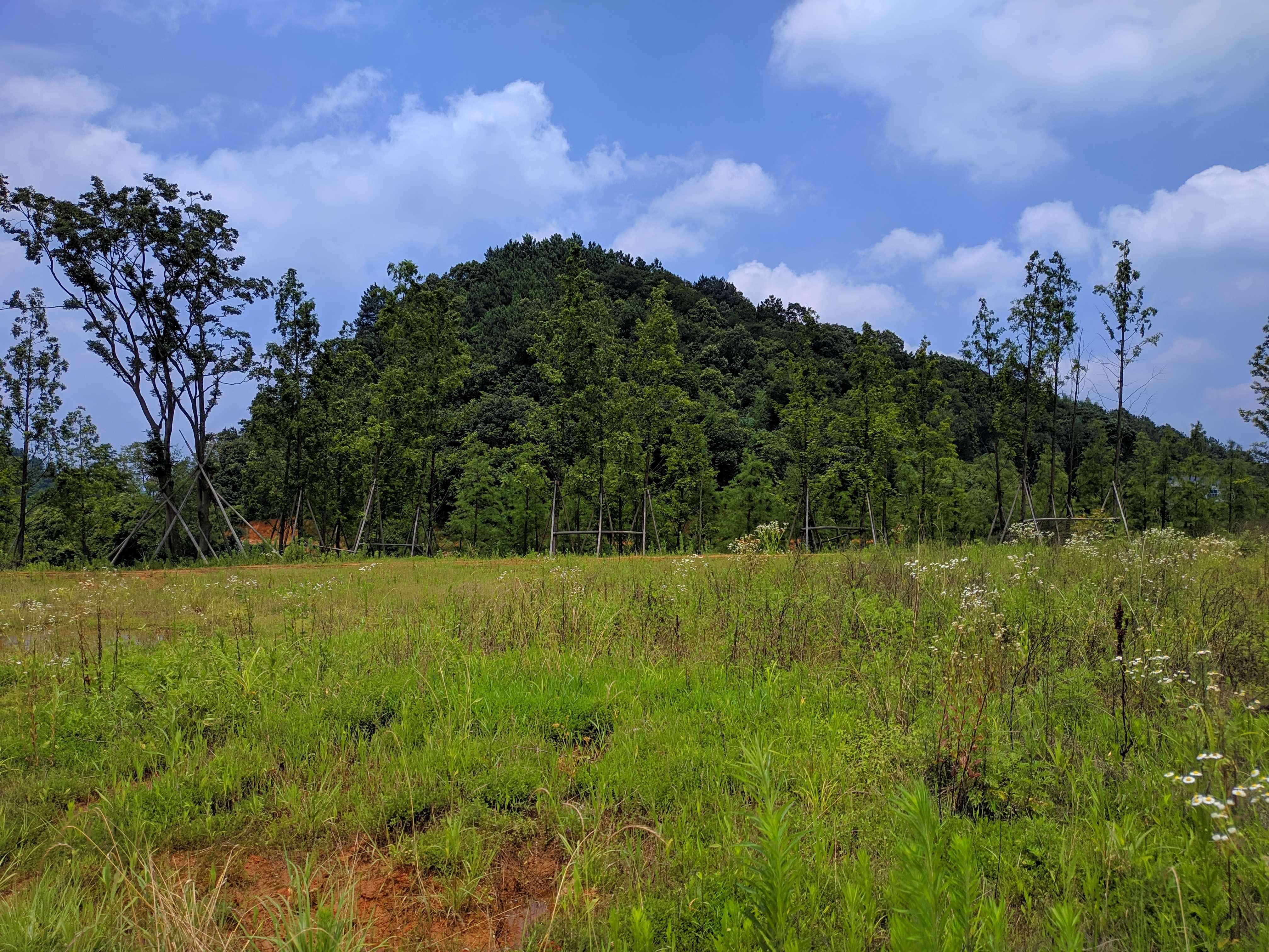 道林鎮河東新村獅子山