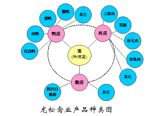 龍松禽業產品說明