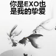 你是EXO也是我的摯愛