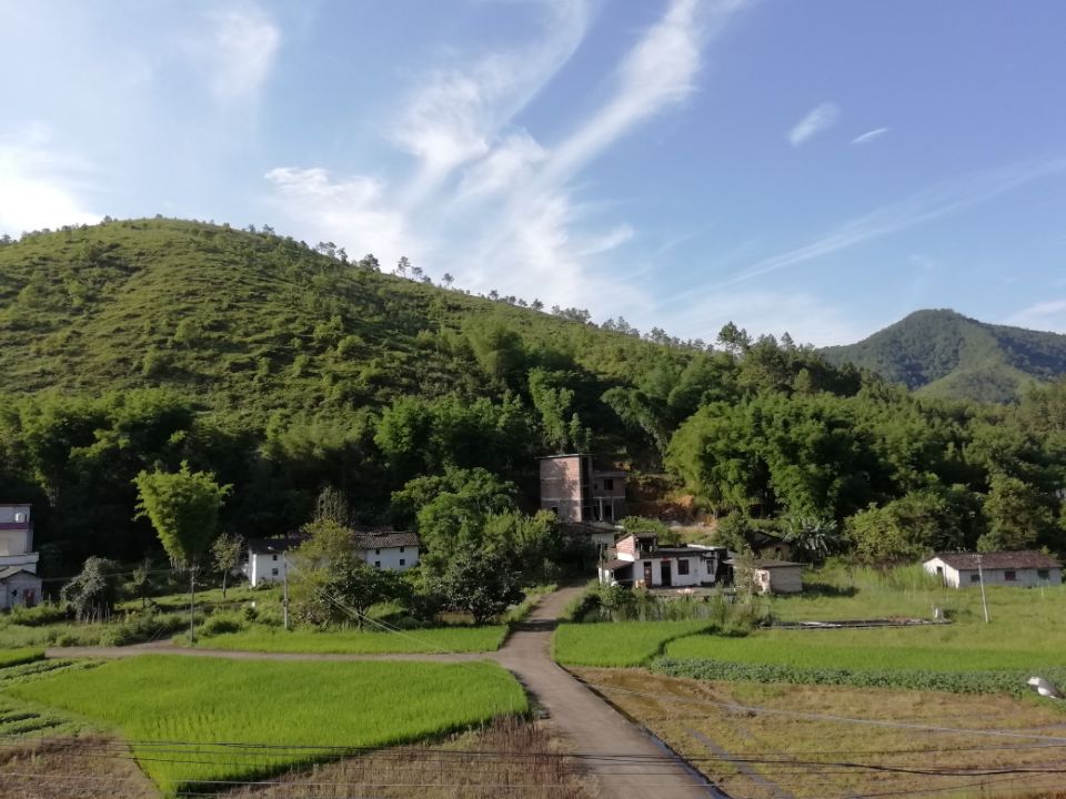 板嶺下村