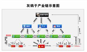 灰鴿子產業鏈示意圖