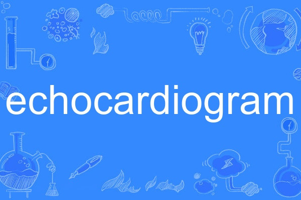 echocardiogram