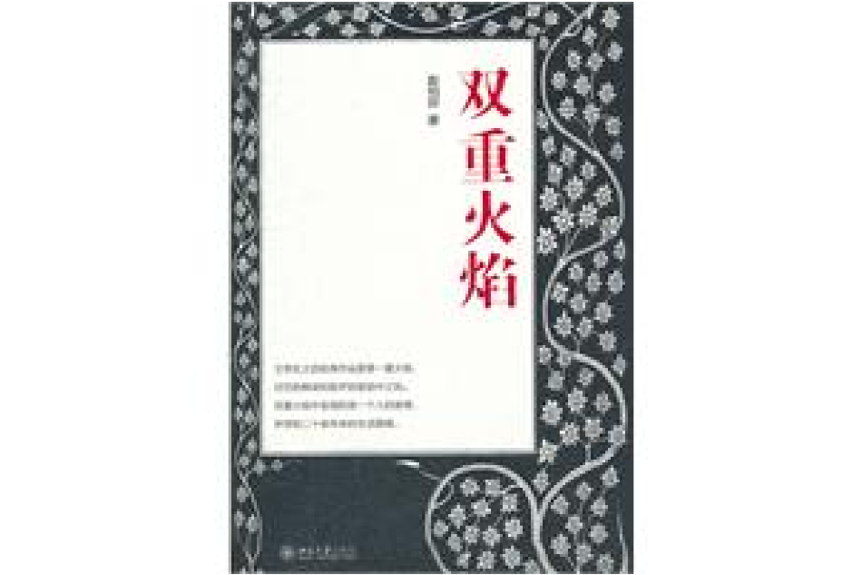 雙重火焰(趙柏田所著書籍)