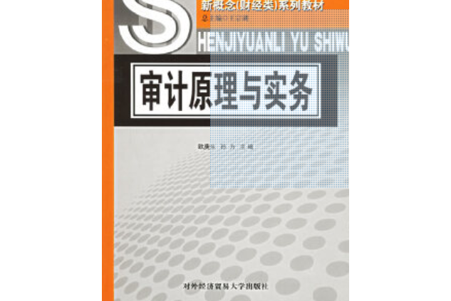 審計原理與實務：21世紀高職高專新概念（財經類）系列教材