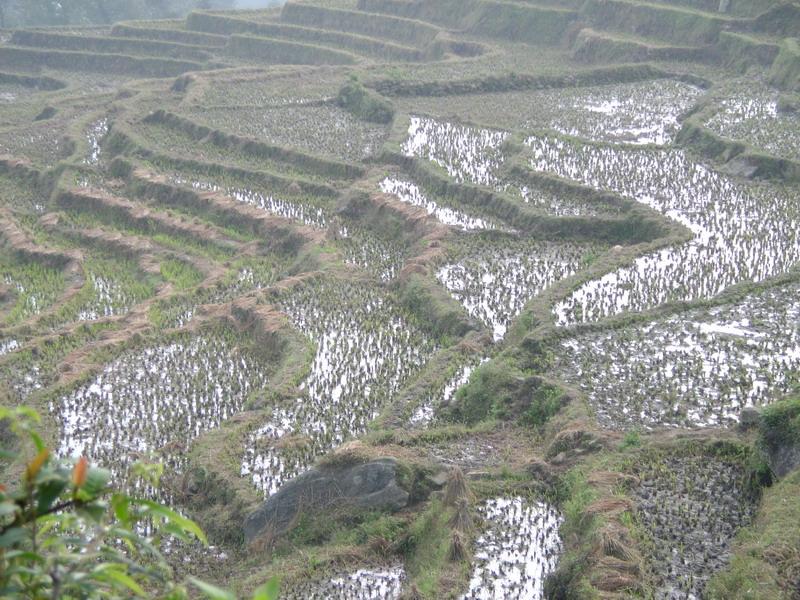 媽卡波新寨村