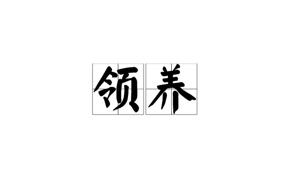 領養(漢語詞語)