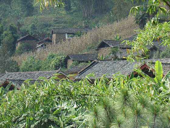 芒別自然村(雲南省普洱市民樂鎮下轄村)