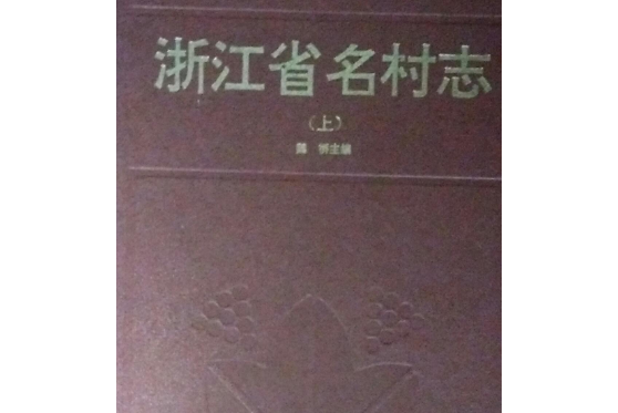 浙江省名村志（上）