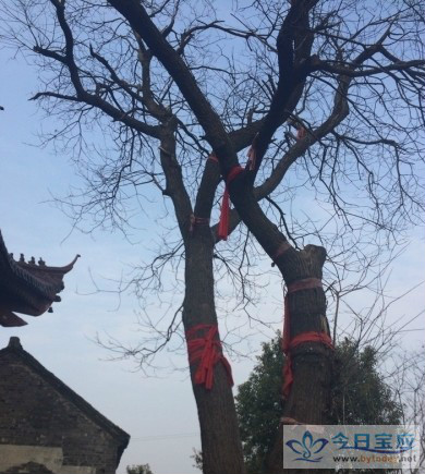 寶應天宮寺