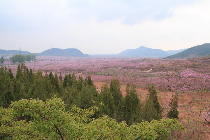 小金山