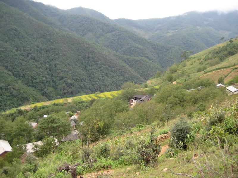 來鳳溪陽山村