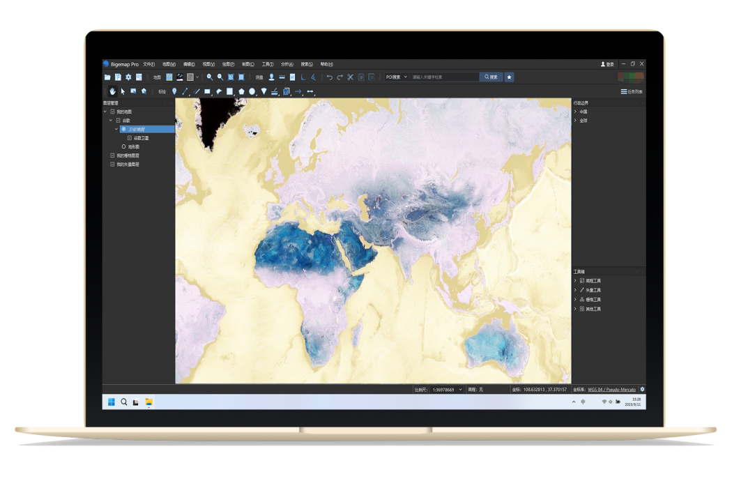 Bigemap Pro